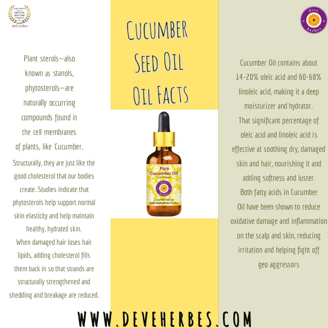 Deve Herbes Pure Cucumber Oil (Cucumis sativus) Non-Sticky, 50 ml (Pack of 1) - Image 4