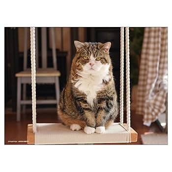 maruさま2026 MIZUNOミズノ⭐︎MXR OSAKA CITY PACK⭐︎大阪万博⭐︎24.5