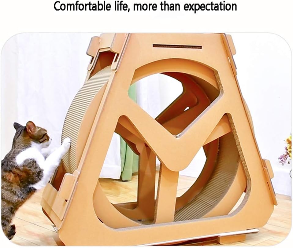 ferris cat wheel amazon