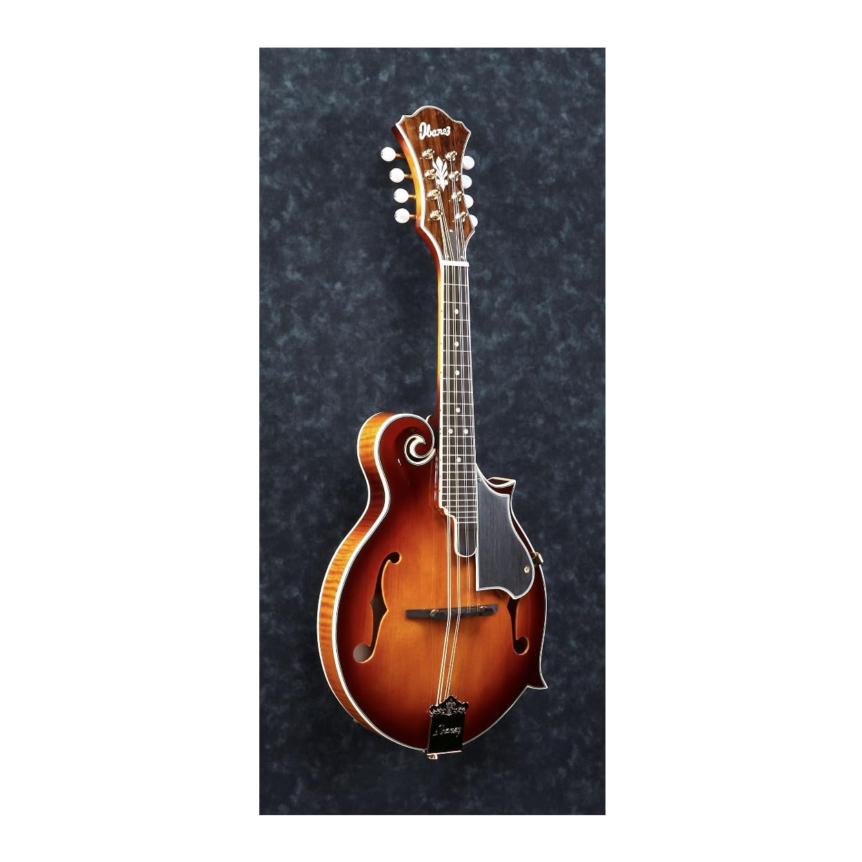Amazon.com: Ibanez M700S 8-String F-Style Mandolin Acoustic Guitar