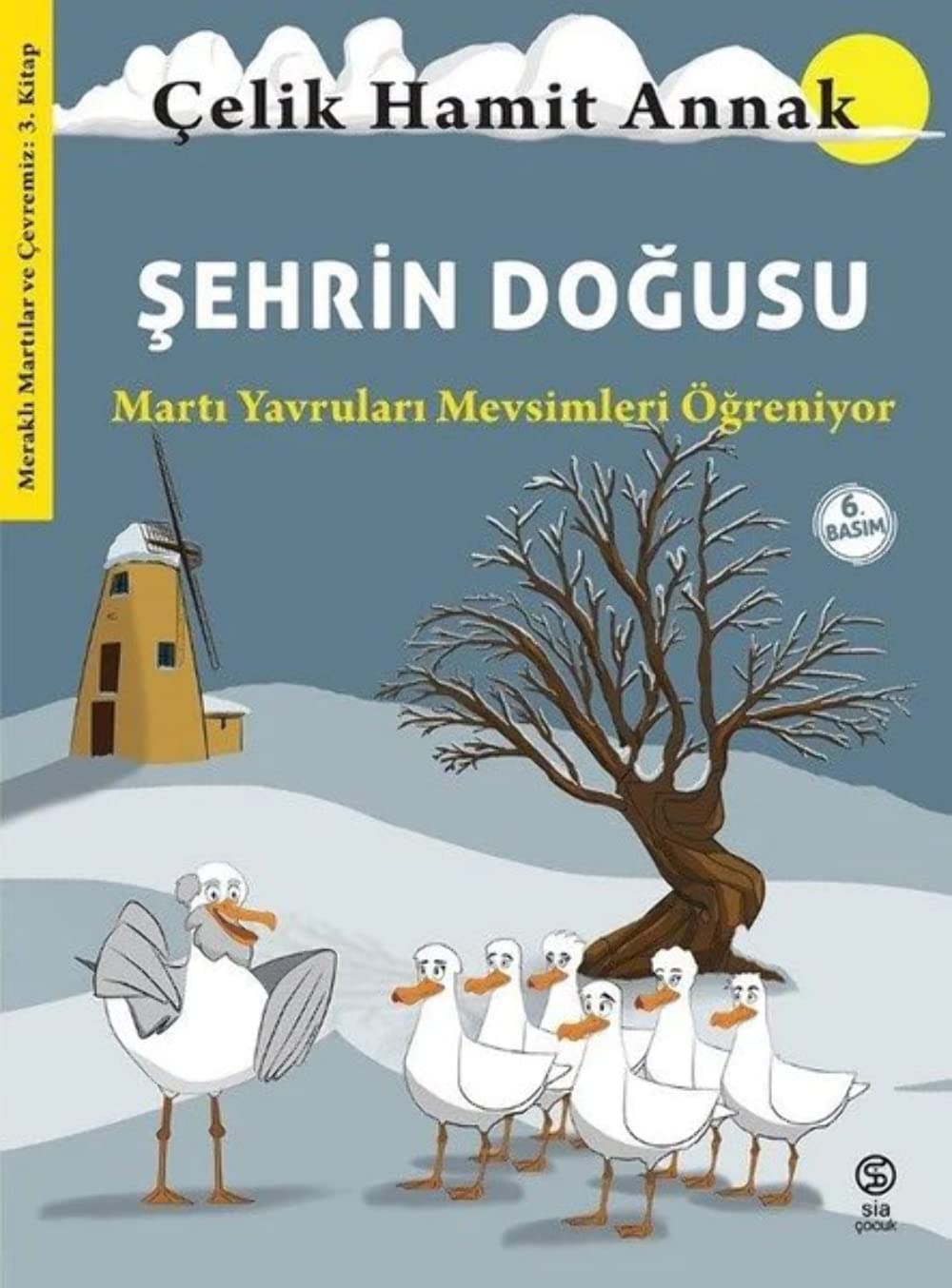Şehrin Doğusu: Martı Yavruları Mevsimleri Öğreniyor