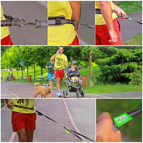 Hands Free Bungee Leash + Dual Dog Leash Coupler Kit Multifunctional + Retractable Traffic Jogging Hiking Leash & Reflective Pet Leash • Adjustable Body System + Padded Handles • Take Yankee #TOP7
