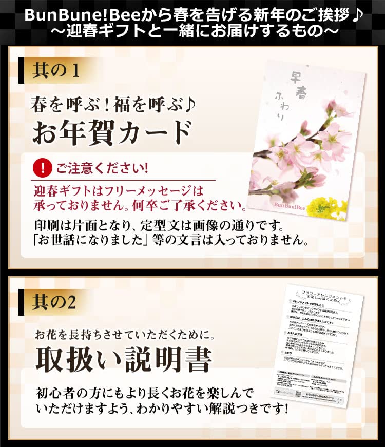 Amazon.co.jp: 2025 迎春 正月飾り ミディ胡蝶蘭 慶びふわり・雅