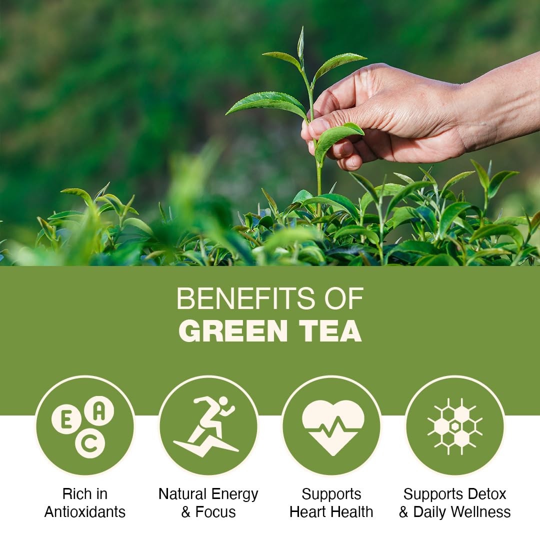 Blend Art Teas Green Tea β 40 Tea Bags | High Mountain Nilgiri Green Tea | Rich in Antioxidants | Natural Energy & Metabolism Support | Fresh & Light Flavor | 80g | Curated in India 1