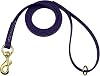 Biothane Waterproof All Weather Dog Leash with Solid Brass Hardware - Purple - 58 x 6'