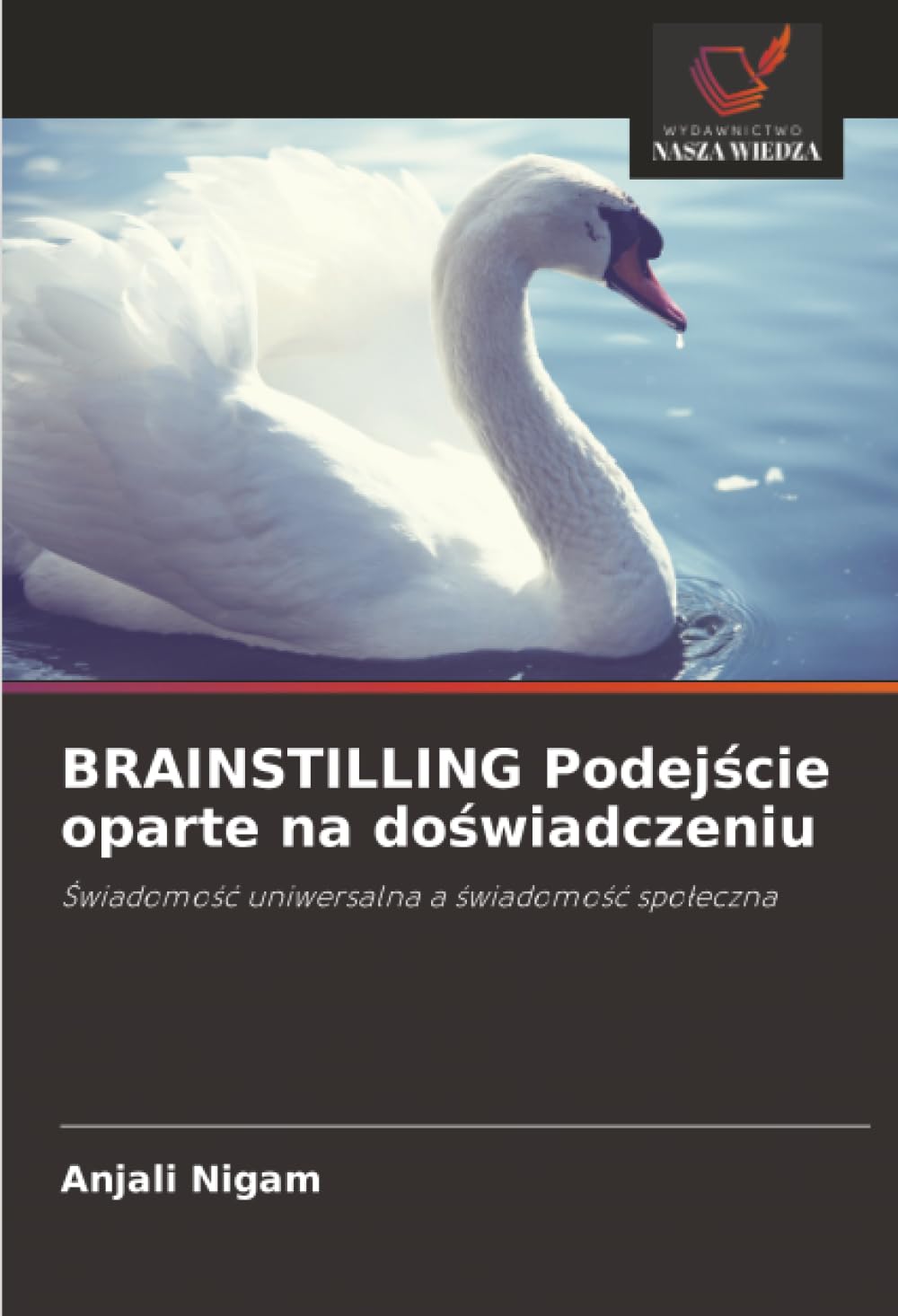 BRAINSTILLING Podejście oparte na doświadczeniu: Świadomość uniwersalna a świadomość społeczna