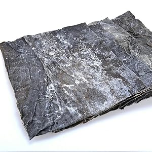 Generisch Kombu Kelp Getrocknete Seetang (1000 ml)