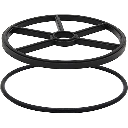 Ersatz Dichtung SPX0710XD & O-Ring CLX200K Für Hayward Poolfilter & Chlorinator – 2 Stück Set