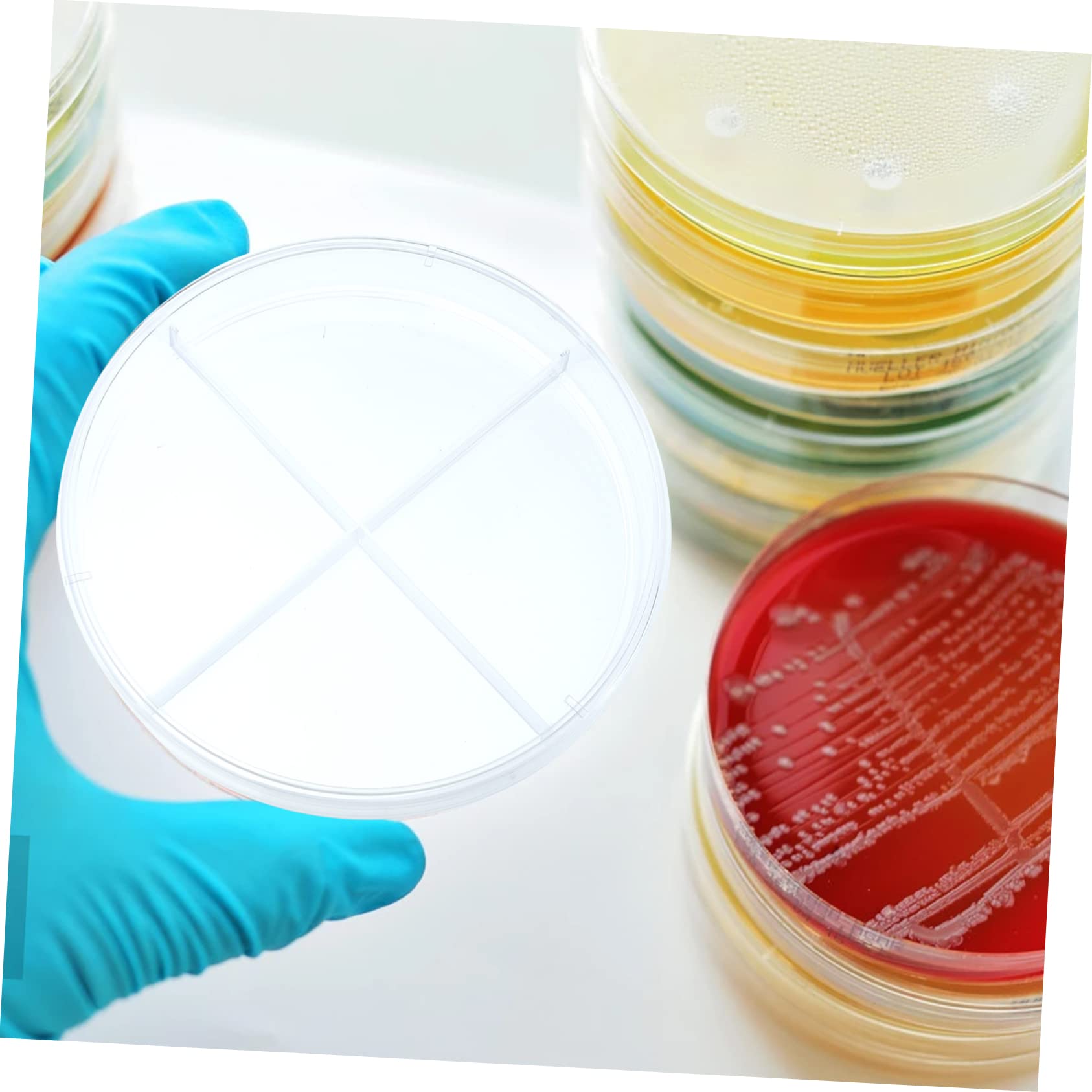 MUSISALY 10pcs Small Petri Dishes Cell Culture Dishes Lab Equipment Scientific Experiment Tool Cell Culture Flat