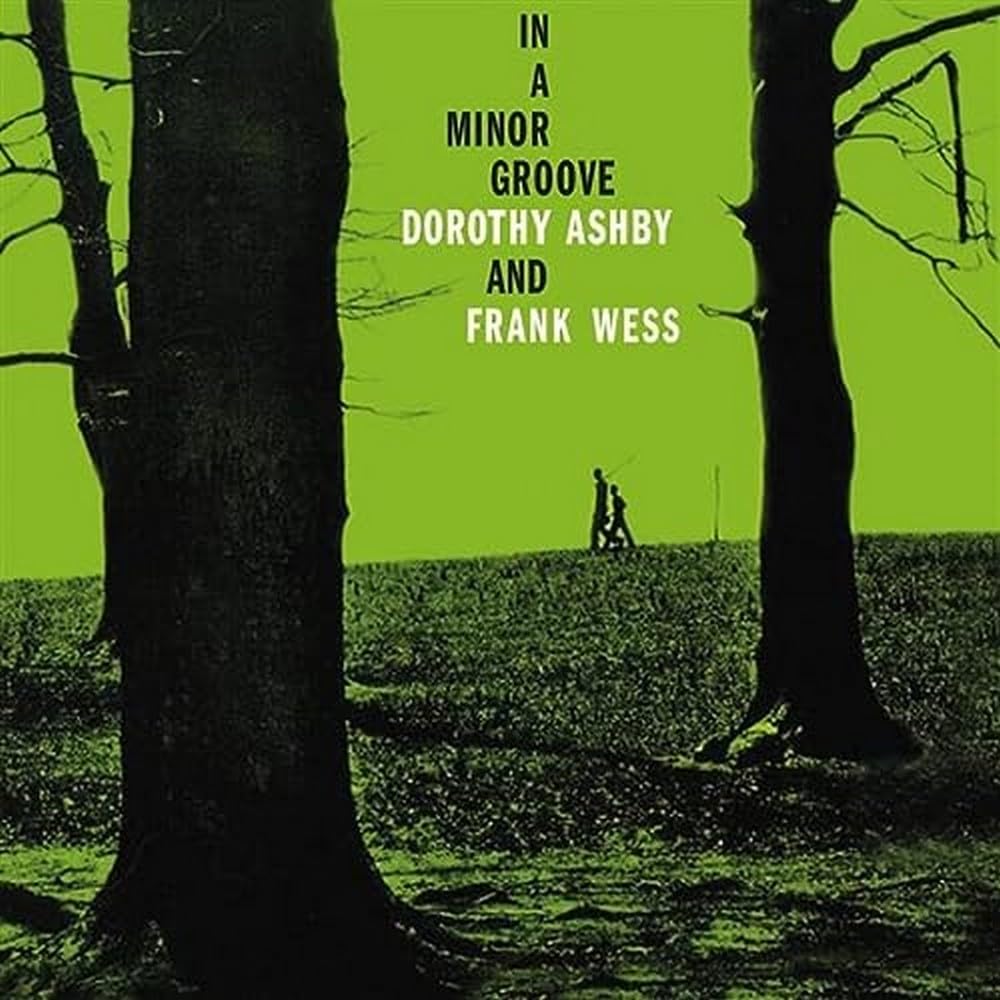 In A Minor Groove [VINYL]