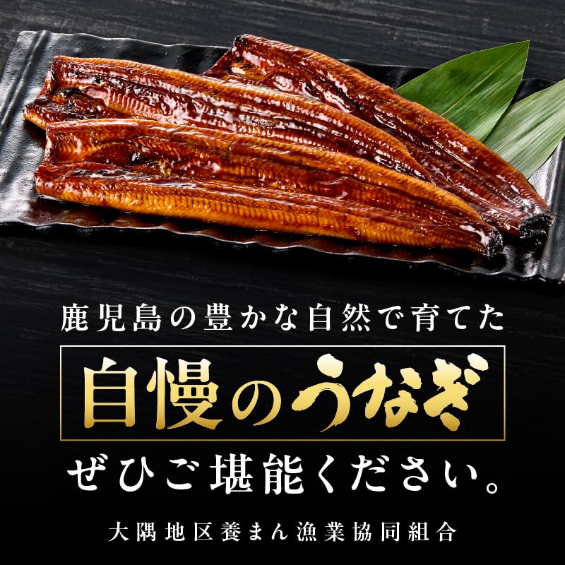 Amazon.co.jp: 【Amazon.co.jp限定】鹿児島県大隅産うなぎ蒲焼2尾（計