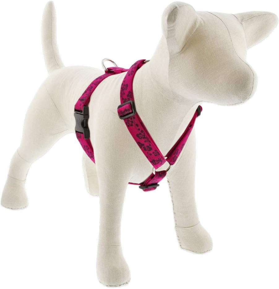 Extra Large Adjustable Dog Harness by Lupine in 1" wide