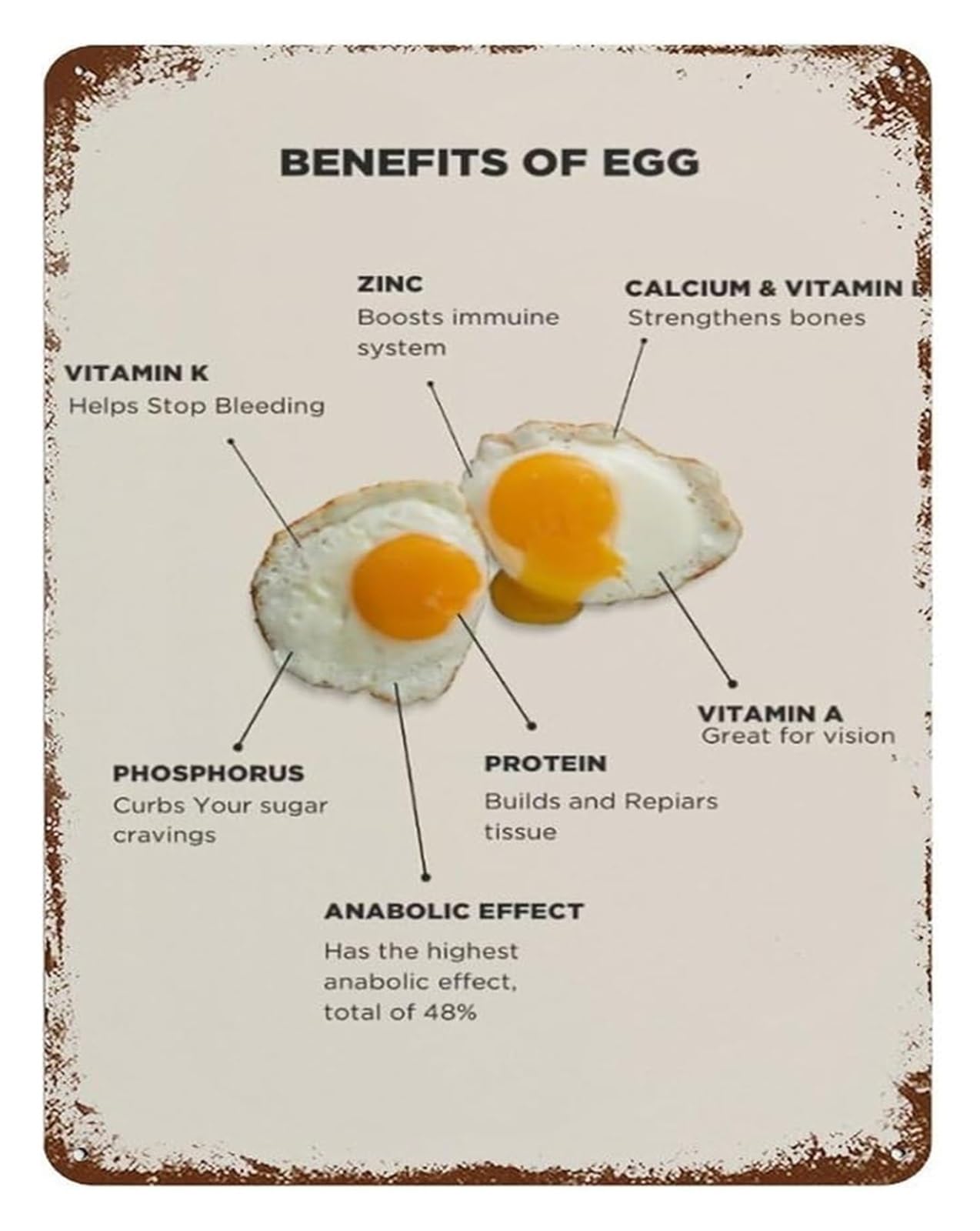 IDGTTLDF Fun Egg Facts Metal Plaque Kitchen Wall Decor Vintage Tin Sign Art for Cafe Diner Breakfast Room Bar 8 X 12 inch