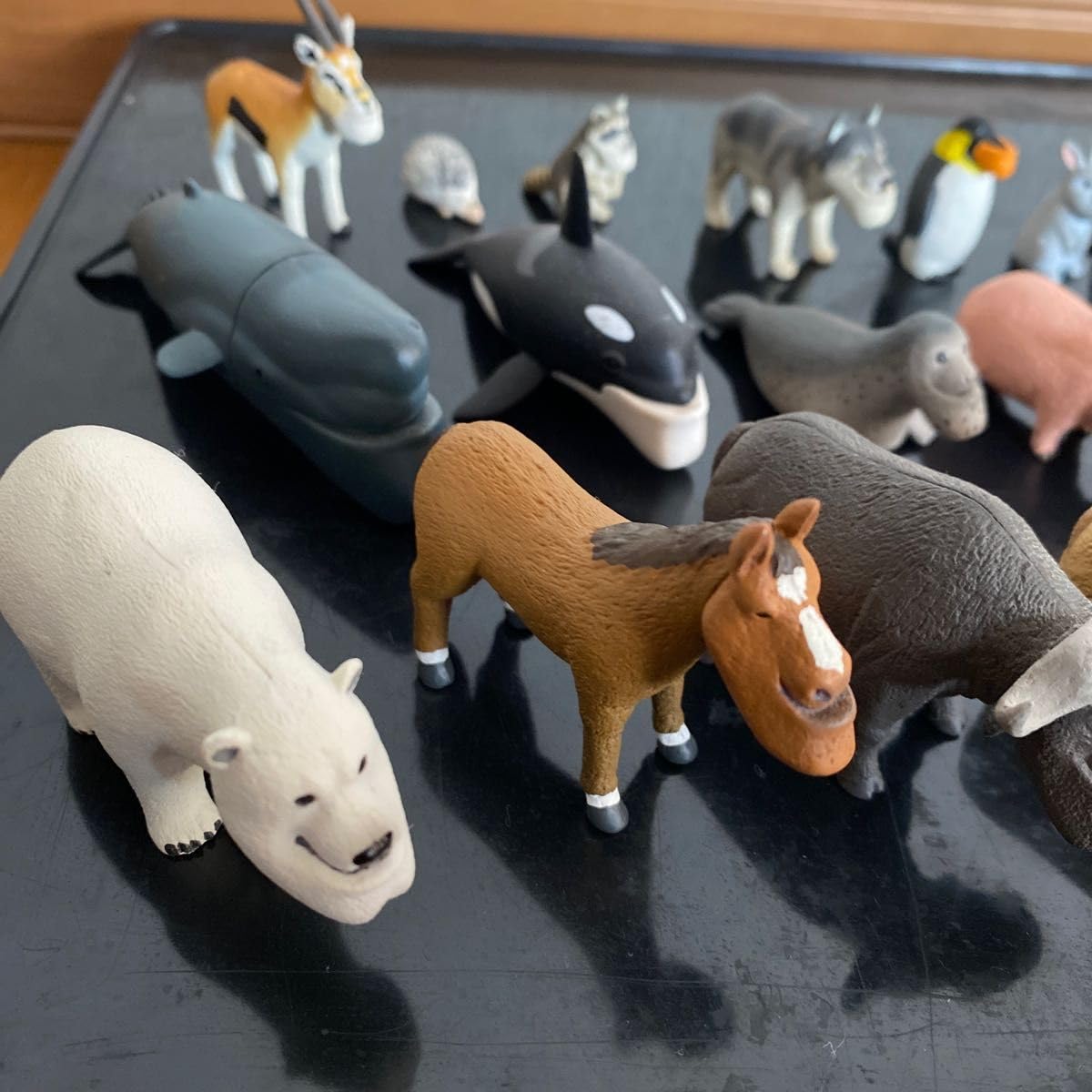 Amazon.co.jp: シャクレルプラネットコンプリート : おもちゃ