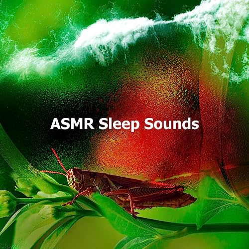 Amazon Asmr Sleep Sounds Crickets Tinnitus Sleep Solution