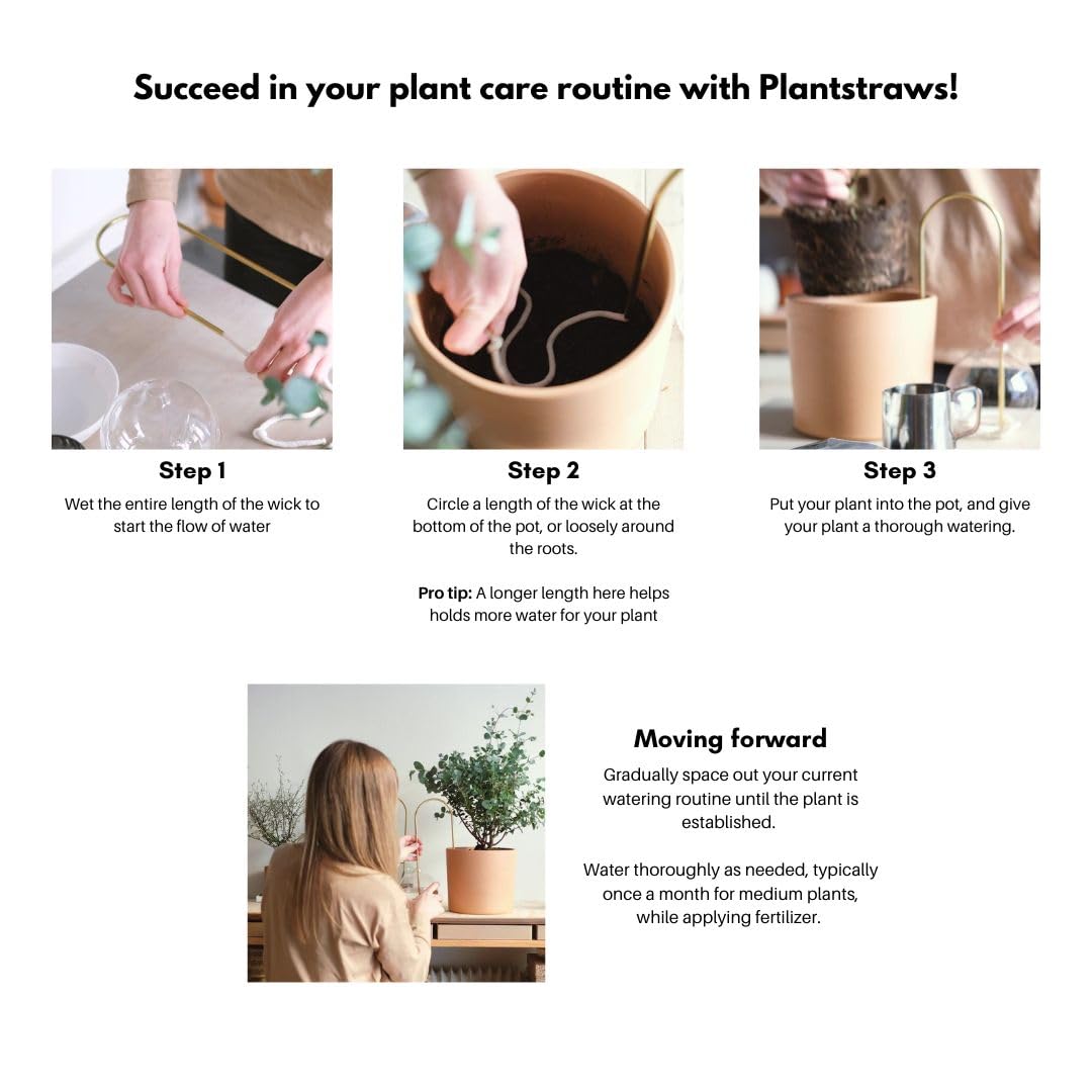 Bellissimo sistema di stoppino autoirrigante per la cura delle piante senza sforzo, irrigazione a goccia automatica, design scandinavo sostenibile ed elegante, ideale per piante da