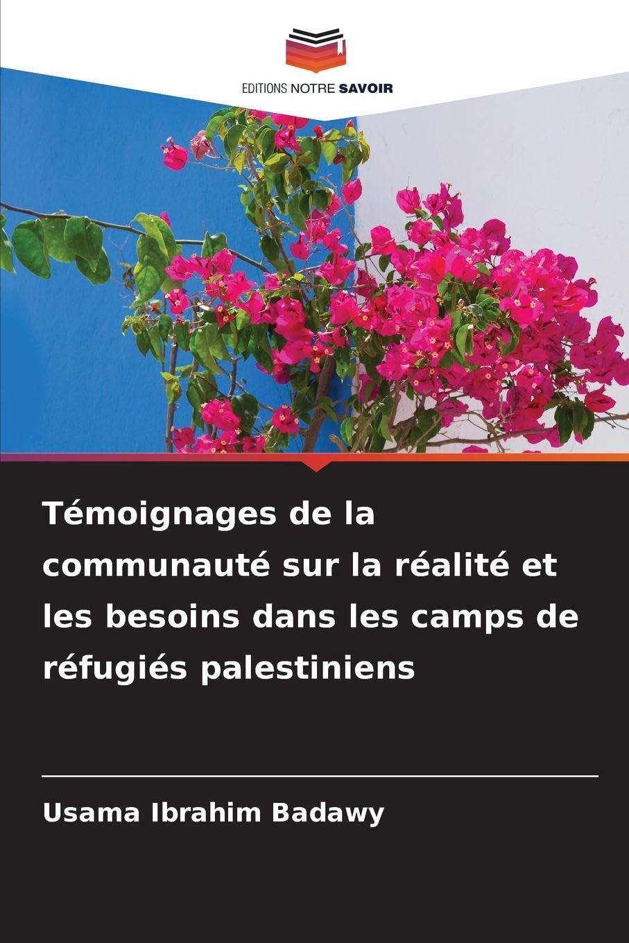 Camps de réfugiés palestiniens : comprendre les besoins réels via les témoignages