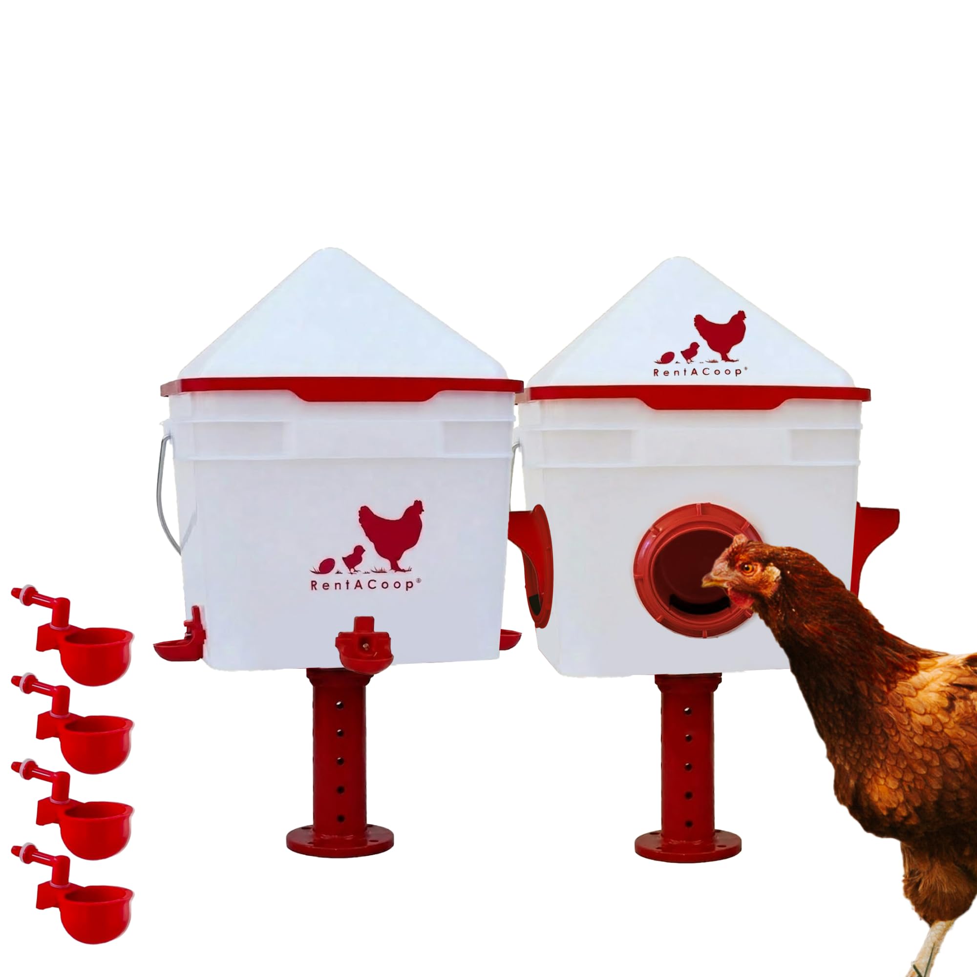 RentACoop Chick2Chicken Feeder and Waterer Set