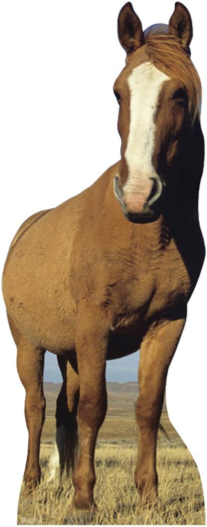 Cardboard People Horse Life Size Cardboard Cutout Standup