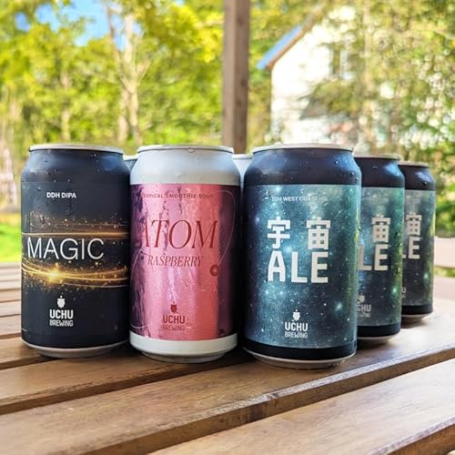 うちゅうブルーイング クラフトビール 9本セット