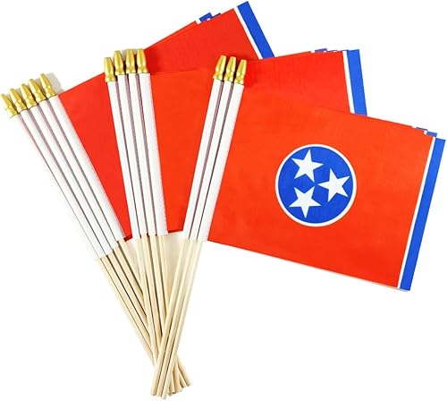 Newperlite Banderas pequeñas de mano de Tennessee Stick Flag - Poste de madera maciza y parte superior de lanza, paquete de 12, 5 x 8 pulgadas