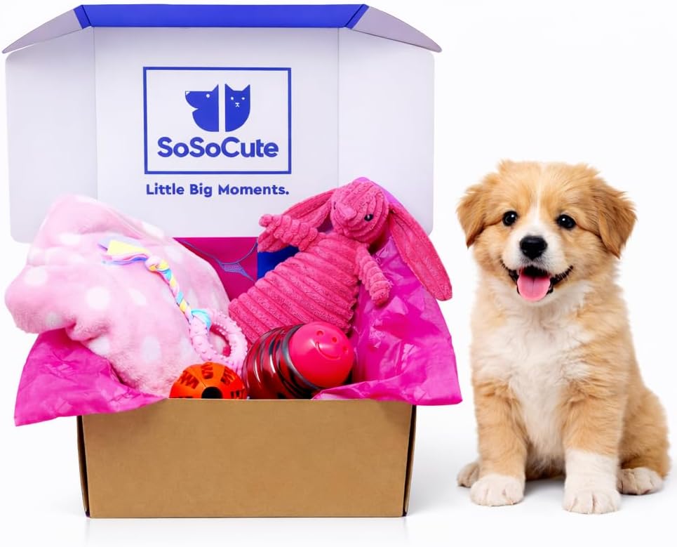 Puppy Starter Kit – 5pc Dog Toy Gift Set for Small Dogs – Blanket, Squeaky Plush, Teething Ring, Treat Ball – New Puppy Essentials Gift Box (Pink)