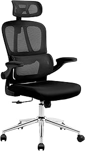 FLEXISPOT オフィスチェア デスクチェア OC6 人間工学 メッシュチェア 独立型ランバーサポート ロッキング調節 跳び上げ式アームレスト 2Dヘッドレスト 在宅勤務 会議室 オフィス用 (OC6, ブラック)