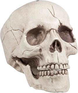 Boland 74378 – Crâne Jawbone décoratif avec pin Mobile, tête de Mort pour Halloween, décoration de fête, fête effrayante