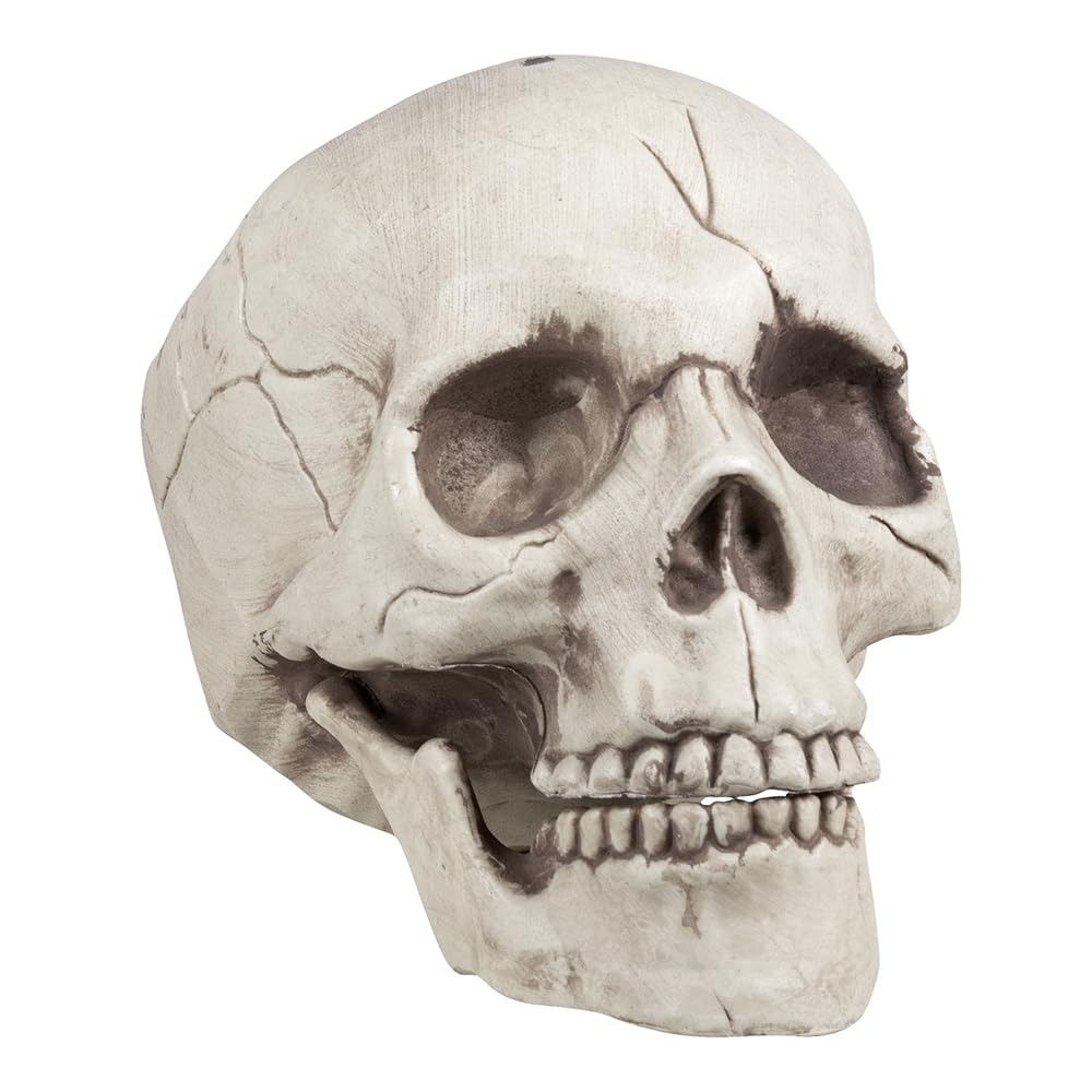 Boland Dekoration – Totenkopf mit beweglichem Kiefer (Kieferholz, ca. 16 × 14 × 21 cm)
