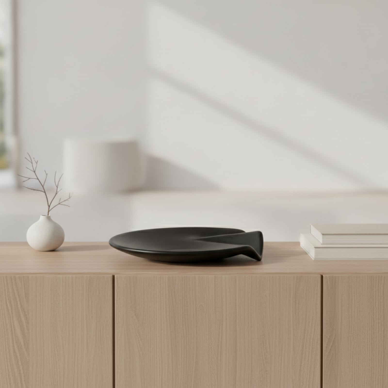 Plat Présentation