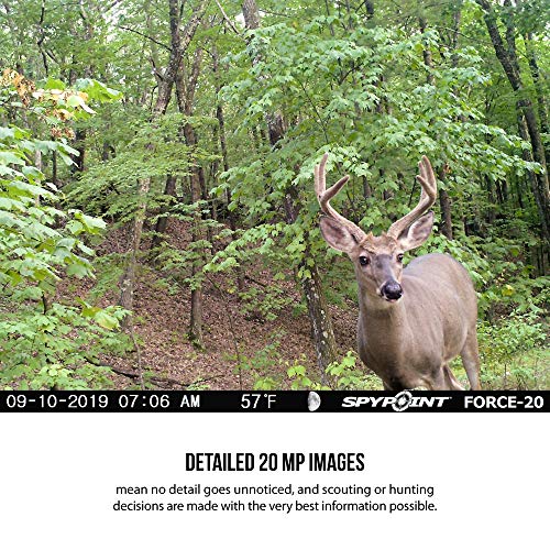 Spypoint Force-20 Trail Camera 20Mp Hd Video W/ 48X High Power Leds & Infrared Boost Tech For Great Night Image, 80' Flash Range, Low Glow Backlit Setup Lcd Screen #TOP3
