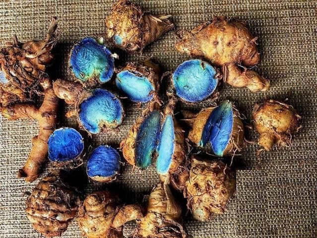 Image of Black Turmeric Seeds | 100 g