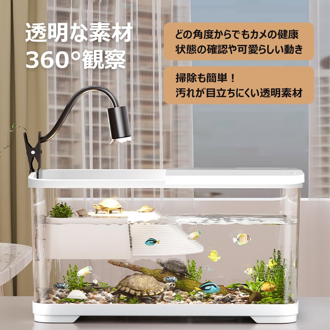 Amazon | AIYOI 亀水槽 カメ飼育ケース ホワイト 60cm | 沐浴機能付き 
