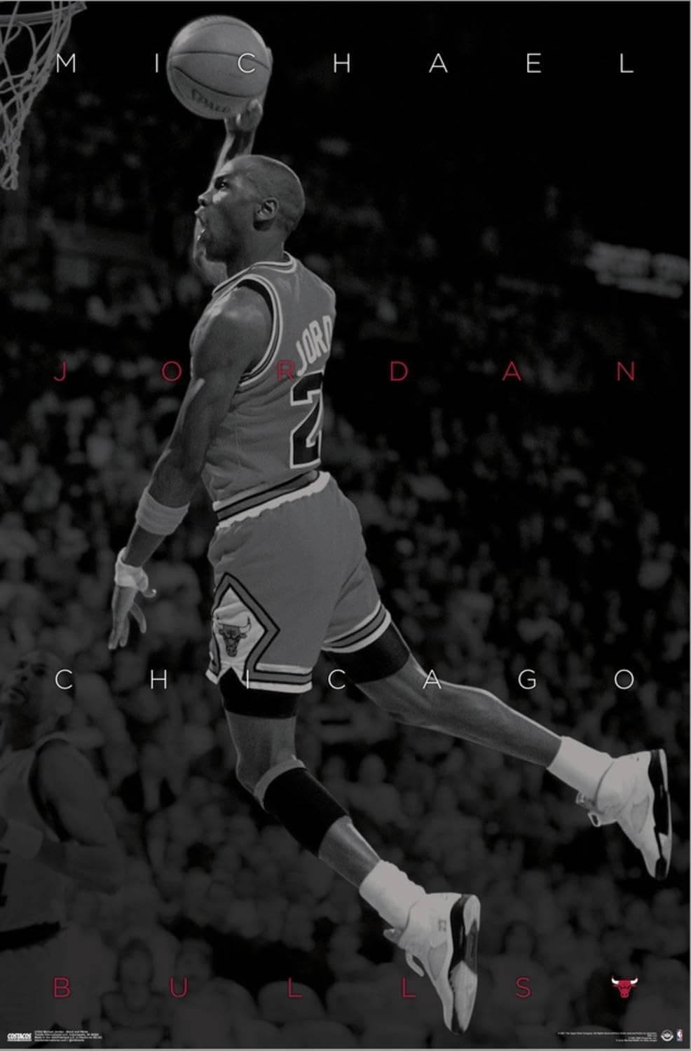 Trends International Michael Jordan - Black and White Wall Poster, 22.37" x 34.00", Stretched Canvas
