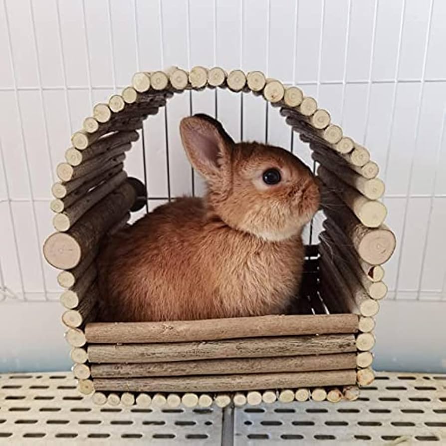Amazon | 木製のウサギの隠れ家 - うさぎハムスターハウス