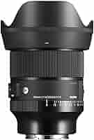 Amazon.com : 24mm F1.4 Art DG DN for Sony E Mount : Electronics