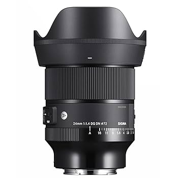 Amazon.com : 24mm F1.4 Art DG DN for Sony E Mount : Electronics