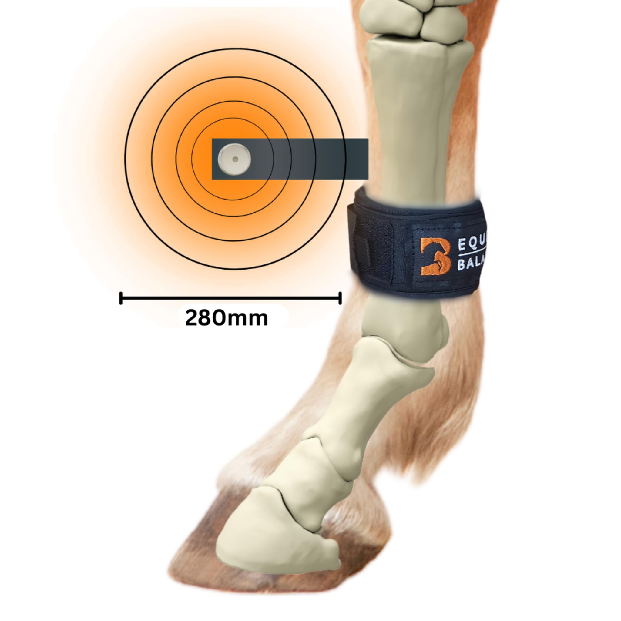Magnetic Leg Bands for Horses. Equine Balance Magnetic Therapy Pastern Wraps for Horses and Ponies. Neodymium magnets for hoof, fetlock, knee and hock (Standard) - 5