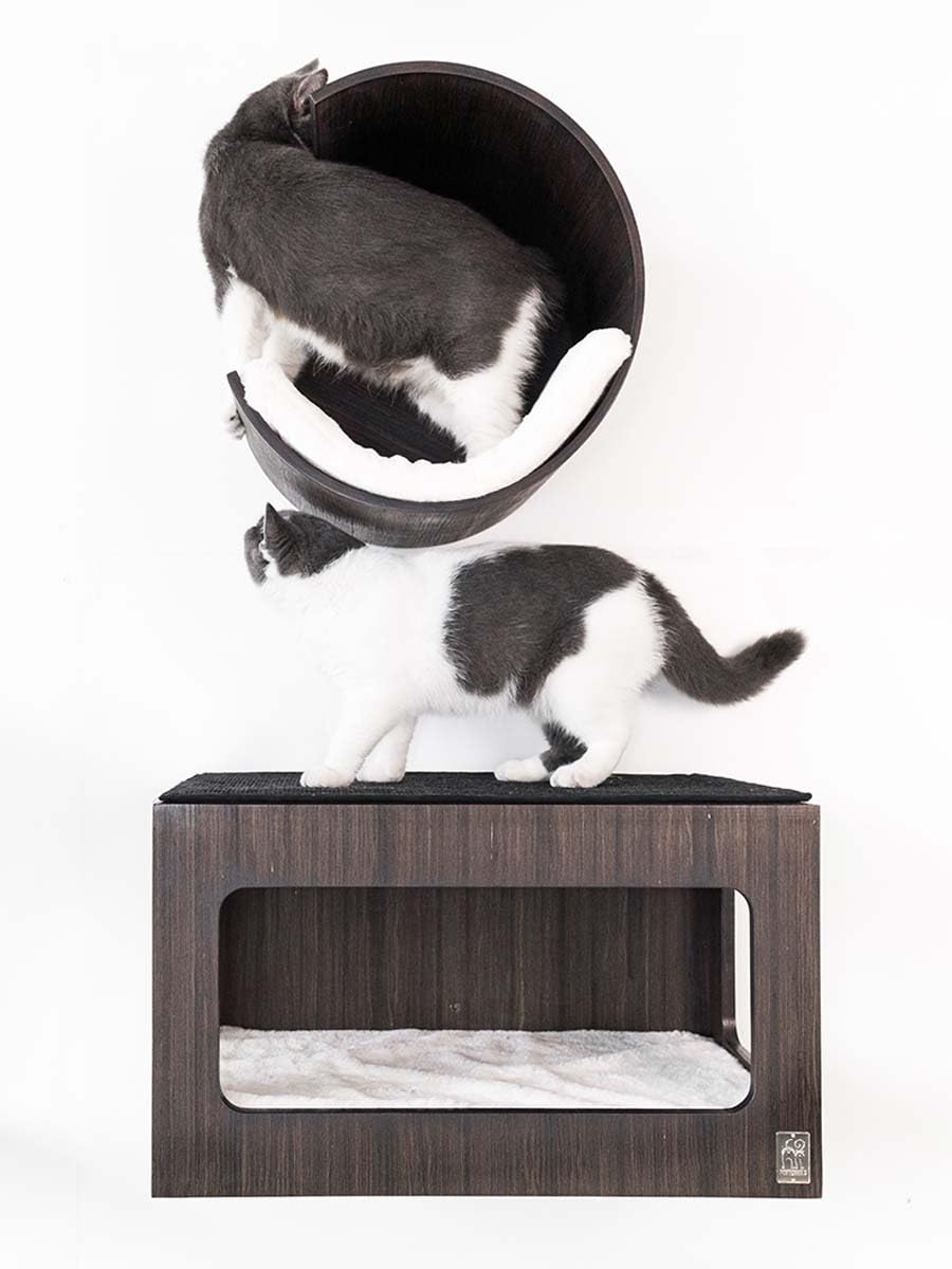 Petrebels Ścianka wspinaczkowa, jaskinia dla kota Moon Ø 40 cm, ściana drapaka, jakość premium, drapak ścienny, łóżko dla kota, montaż na ścianie, kolor drewna czarno-brązowy