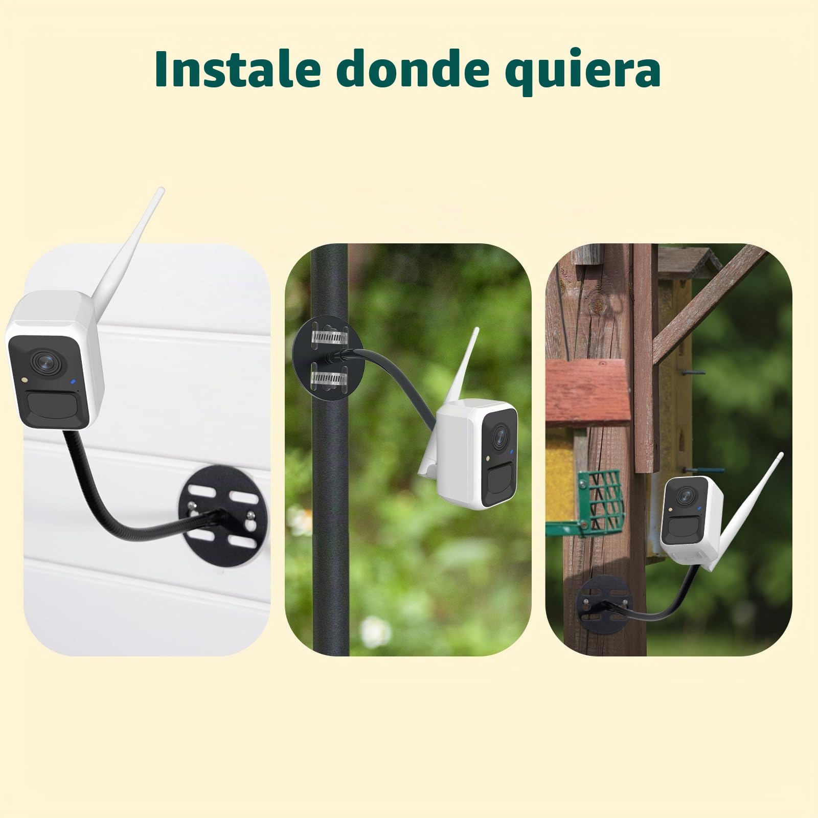 Birdfy Cámara Comedero para Pájaros Inteligente – Versión Mejorada, energía Solar, Captura automática de vídeo, notificaciones instantáneas, IA identifica 6000+ Especies, 1080P cámara para Aves