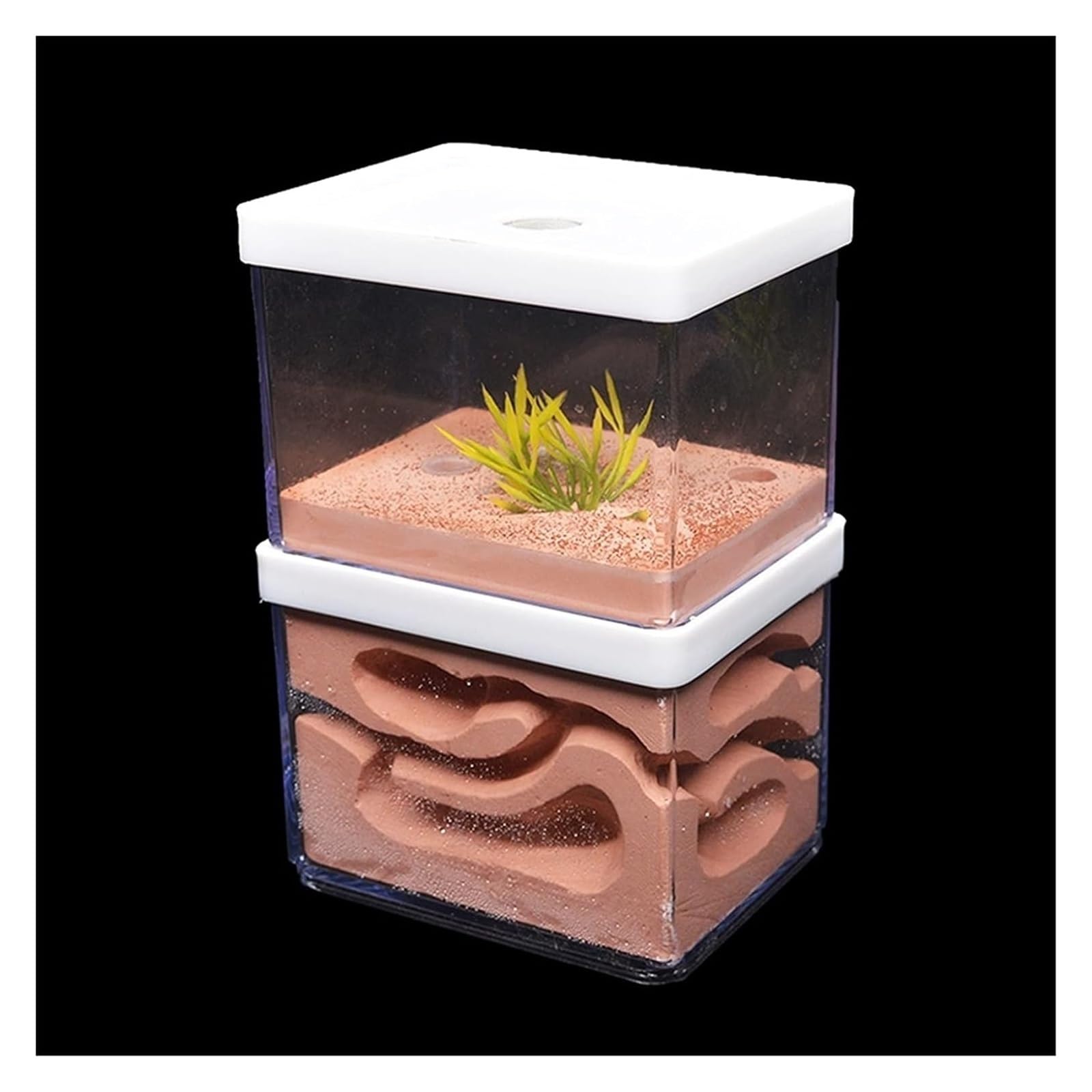 Formicaio Formicaio in Gesso, Naturale Ecologico, Grande Nido per Insetti, Castello, Officina, per Animali Domestici Formiche Nido(16cm)
