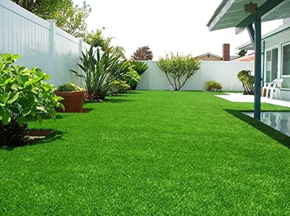 Korean grass seeds for lawn,Lawn grass seeds korean,100% germination (2000 seeds) (B0C89TNZDB) Amazon Price History, Amazon Price Tracker