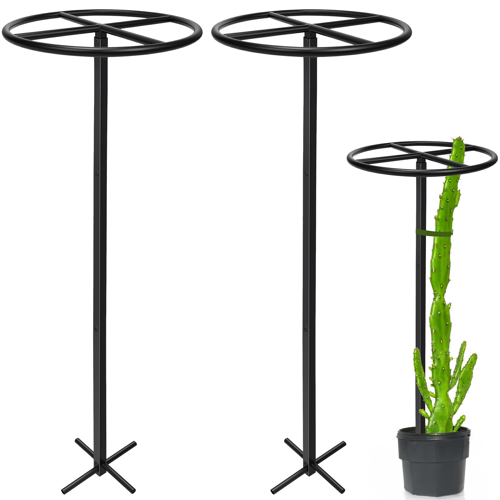 HEYTIMI 2-Pack 47.2 inch Dragon Fruit Trellis