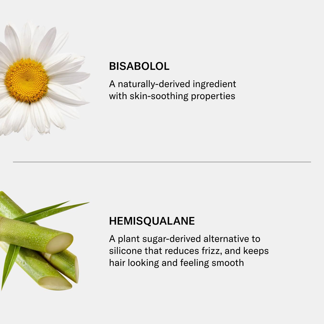 SEEN Champú ecológico, sin fragancia, champú para el cabello no comedogénico y sin sulfatos, desarrollado por dermatólogos, seguro para pieles sensibles, propensas al eccema y al acné