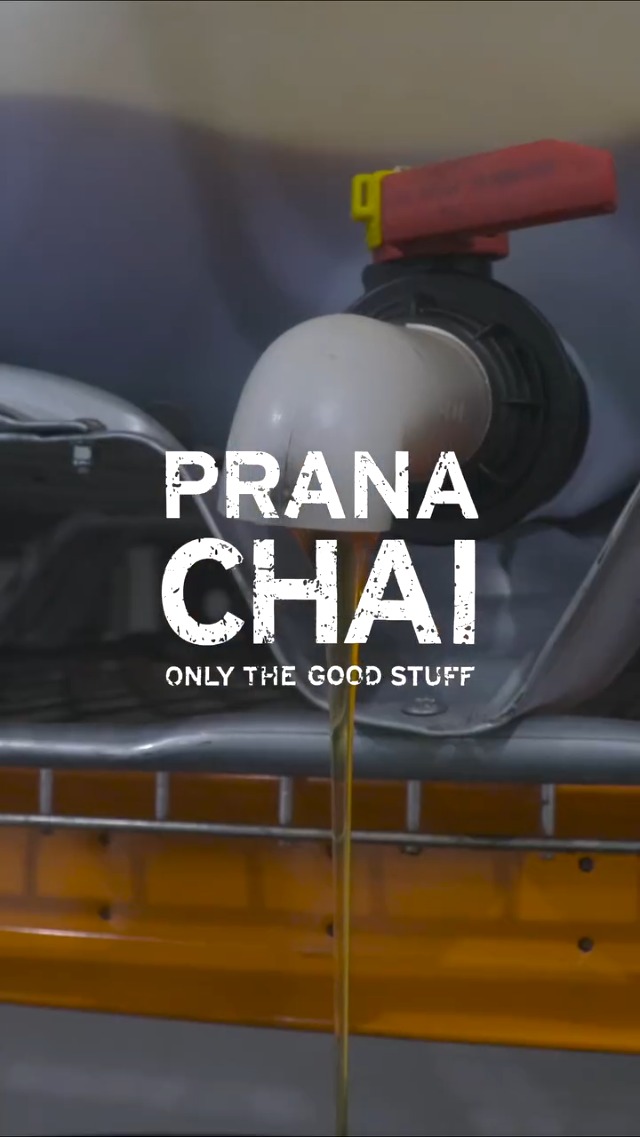 Té Masala Blend Prana Chai 250 gramos con colador miniatura 7
