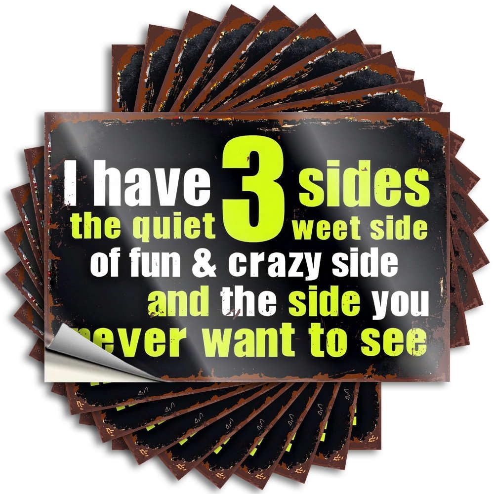 Winter Saying - Spring Taupe Bottle I Have 3 Sides: Quiet, Fun & Crazy, Hidden(12X18CM)