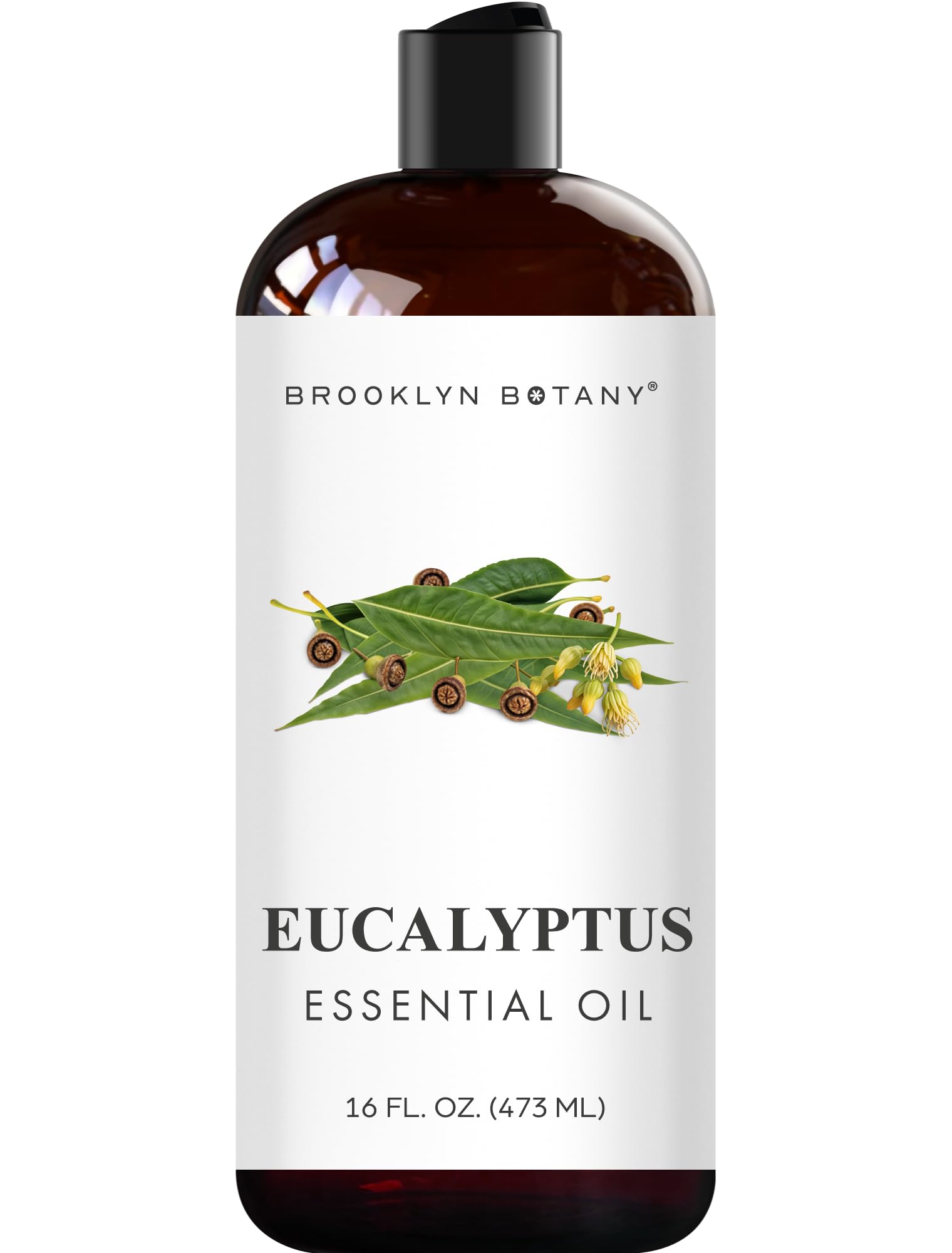 Brooklyn Botany Eucalyptus Essential Oil - Huge 16 Fl Oz