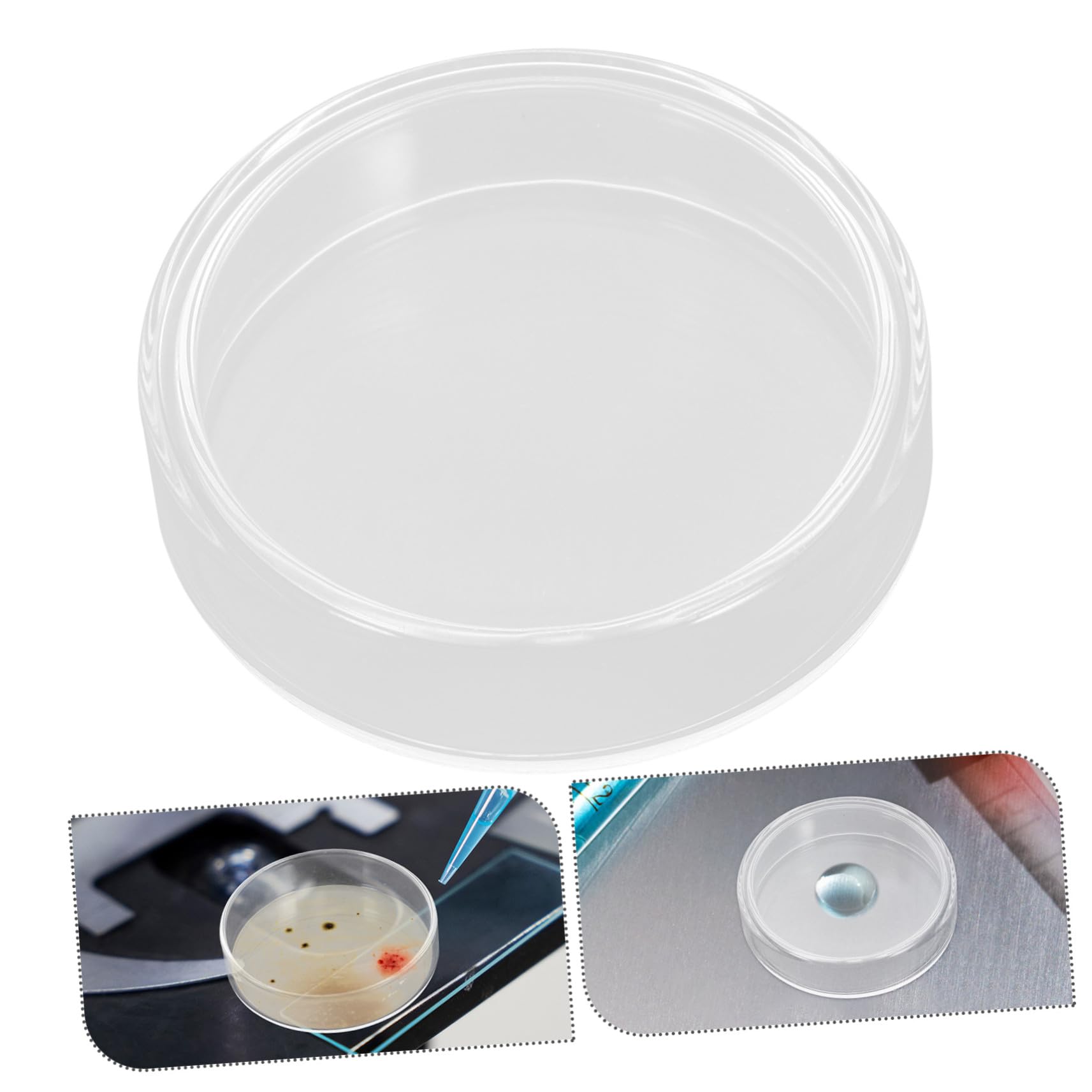 10 piezas Placas de Petri de Vidrio Borosilicato para Celular y Reutilizables Resistentes Altas Temperaturas Uso Educativo y Laboratorio