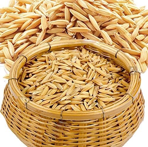 Dhan Paddy Seeds - Vadlu - For Pooja & Germination | Pooja Dhaan, Puja Dhan, Puja Hawan Dhaan, Havan Dhaan, Pooja Paddy, 1 Kg. (B0D983JMTJ) Amazon Price History, Amazon Price Tracker