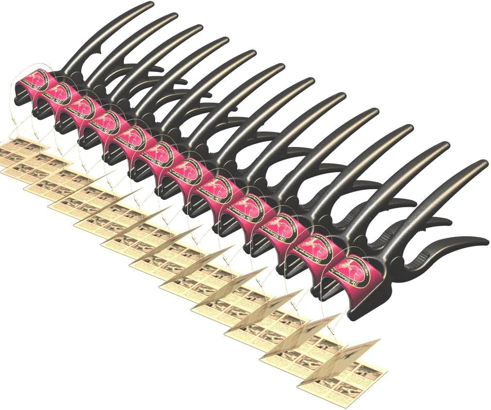 Party Pack - 1 dozen